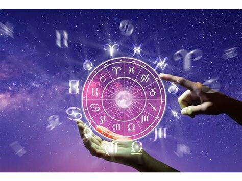 12星座比例圖