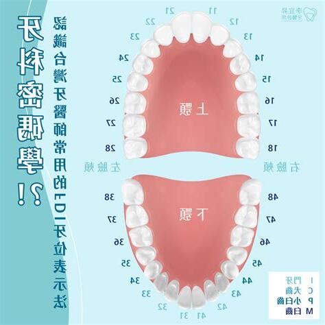 牙齒代表什麼