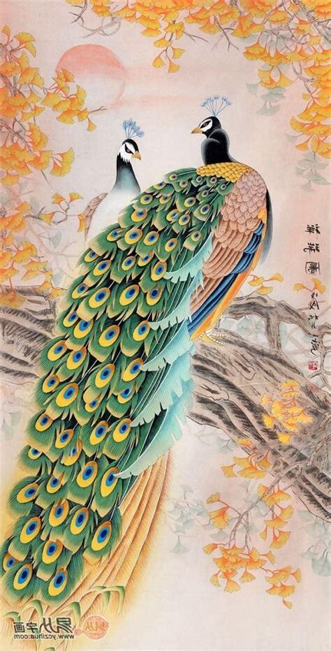 孔雀寓意