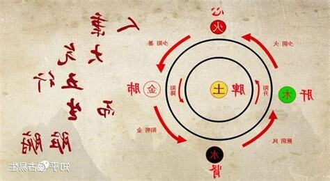 胰臟五行