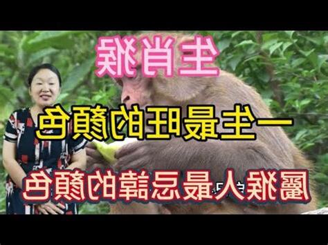 猴子怕什麼顏色