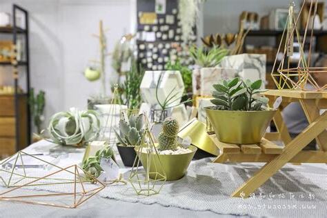 開店適合的植物