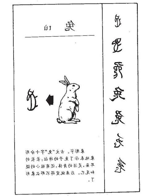 13劃的字屬兔