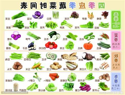 一年四季都有的蔬菜