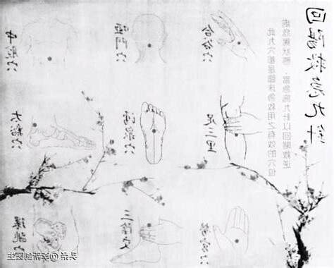 回陽九針口訣