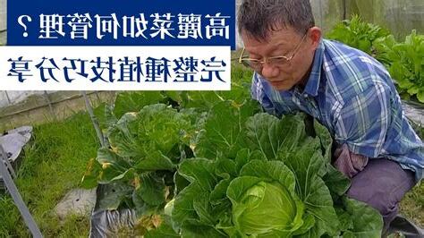 種植教學