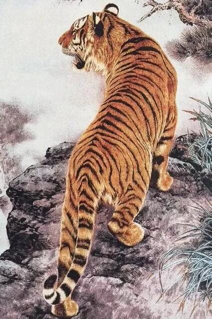 虎的成語