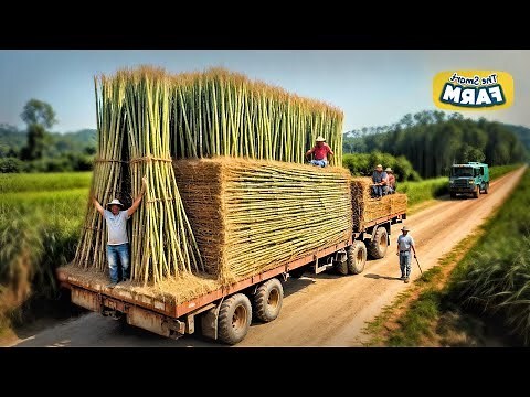 bamboo意思