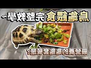 烏龜可以吃嗎