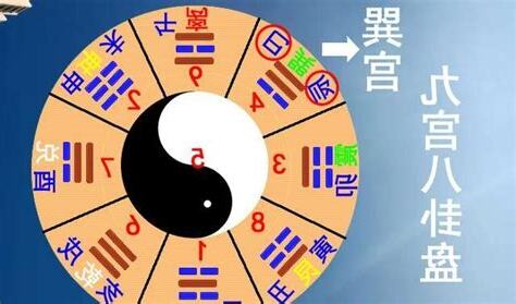 巳火意象