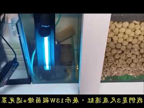 魚缸放哪