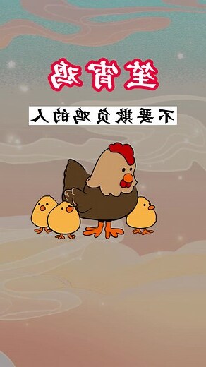 屬雞的女人