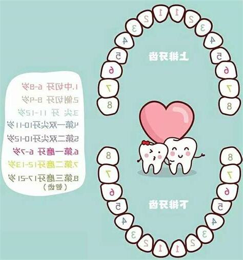 牙齒小顆的人