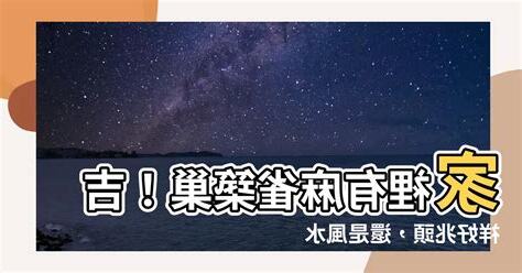 家裡有麻雀築巢