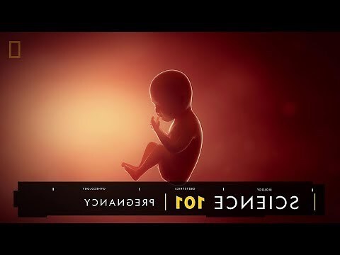 懷孕換床單