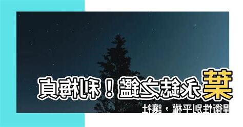 利梅貞