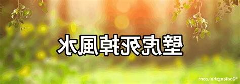 壁虎死掉風水