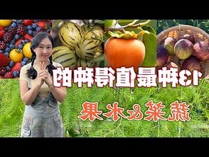 盆栽水果有哪些