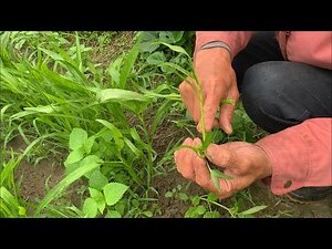 二收什麼意思