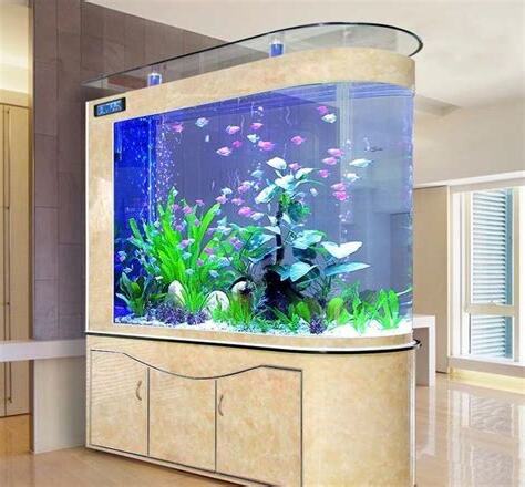 魚缸財位