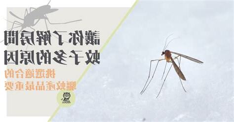 家裡出現大蚊子