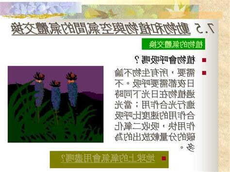 植物需要氧氣嗎