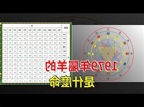 1979五行屬什麼