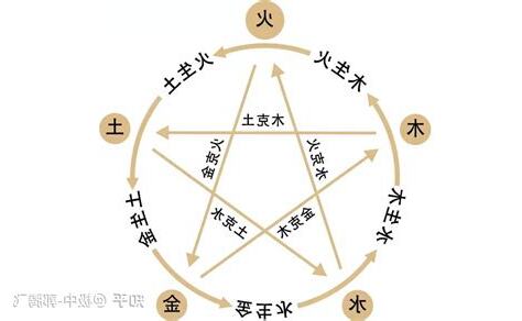 五行木