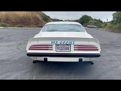 1974虎五行