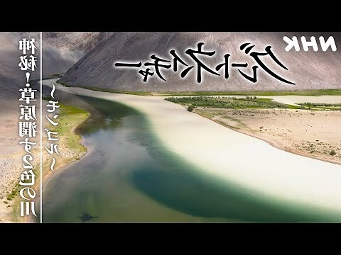 草原大地獺