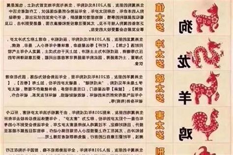 入厝沖生肖化解