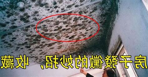 房子發黴