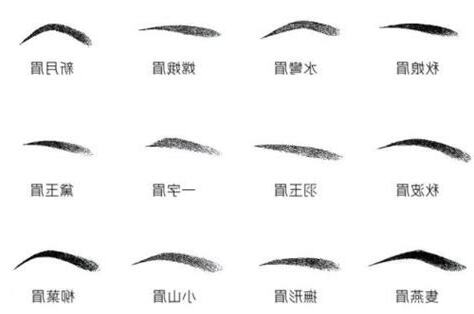 白眉毛吉凶