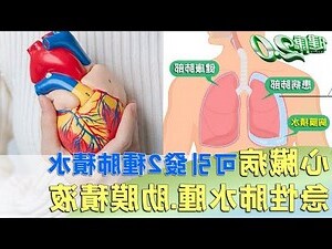 生毛將軍肺積水