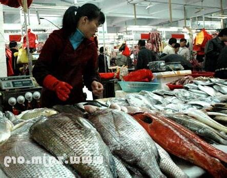 夢見買魚