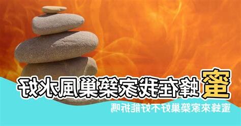 蜜蜂來家裡