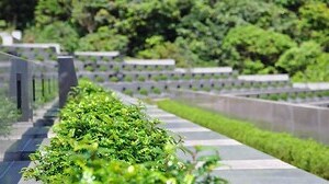 家族墓園價格