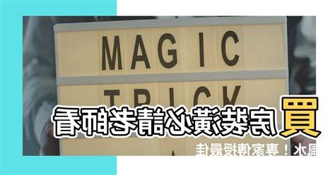 請老師看風水
