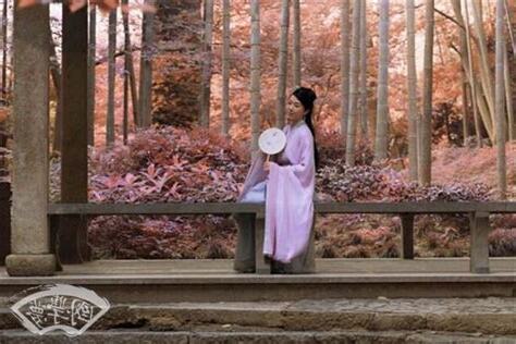 1982狗女