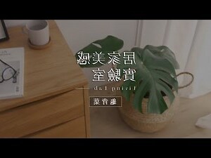 龜背葉