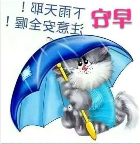早安下雨天注意安全
