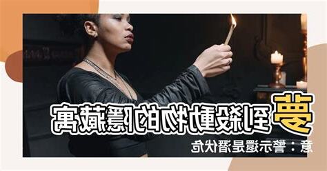 夢到殺動物