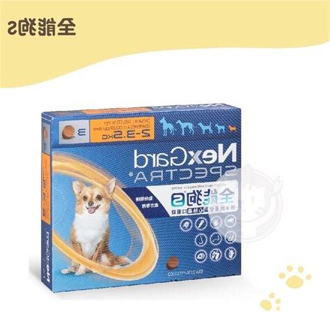 全能狗s廣告狗品種