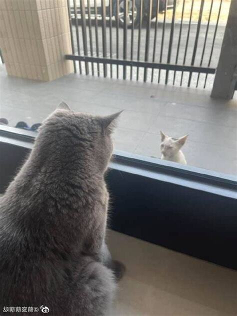 把日光擋在屋外