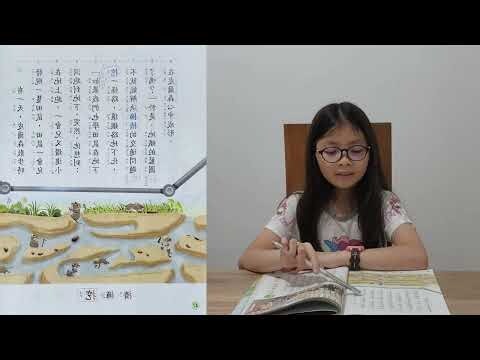 學田鼠開路