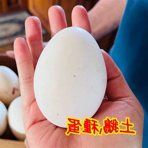 飛鵝卵