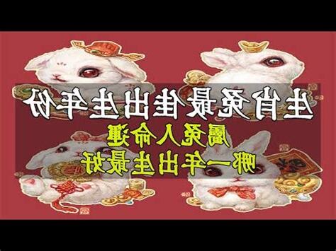 木兔年是哪一年