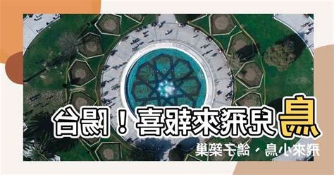 鳥飛來