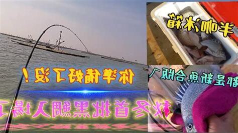 釣魚好嗎