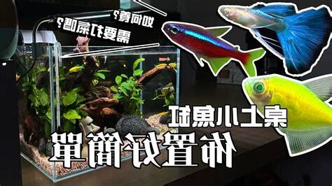 米竹養魚